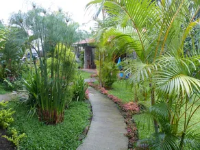 B&B Garden Grecia - Image 4