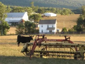 Charming 1880's home w pastoral views on 130 acre cattle farm - Image 2