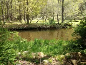 Serene Creek Frontage - Image 5
