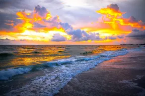 Anna Maria Island Beach Palms 6B - Image 4