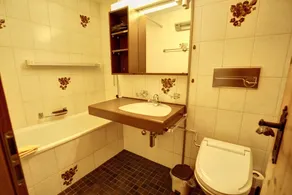 1-Zimmerwohnnung mit Bergsicht im 3. Stock - Image 2