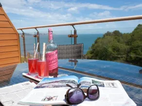 BAYVIEW, family friendly, country holiday cottage in Brixham - Image 5