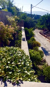 Villa Bilio - Image 5