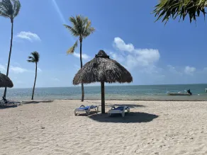 Long Key florida,Beachfront Paradise, two bedroom ,3.5 bath, on Ocean, with Pool - Image 4