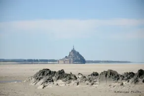 Ancienne étable rénovée avec charme aux porte de Sainte-Mère-Église - Image 4