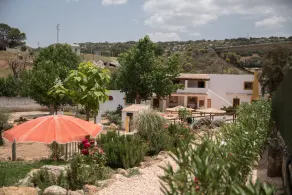 Quinta andaluz tradicional espaçosa com impressionante piscina privada. - Image 5
