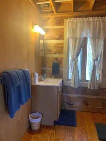 Cozy Mountain Cabin Nelson 151 near Bold Rock Cidery and DB Brewery - Image 4