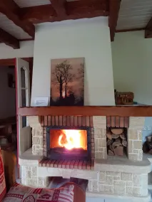 LARGE CHALET IN THE HEART OF THE VOSGES, CLOSE TO MOUNTAIN WALKS - Image 2