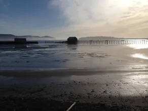 Oregon Coast Semester by the Sea - Image 5