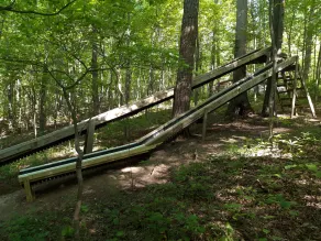 Where Kids Play and Adults Unwind, 6BR Forest Cabin Retreat - Image 3