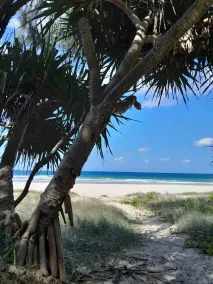 Sea-Chelles Near The Beach - Image 3