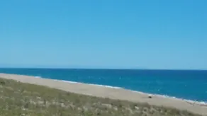 Tipo di casa Bergerie Landaise 6-7 pers. Prox. spiaggia e mare, golf e tennis - Image 4