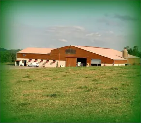 Trailer on the farm - Image 4