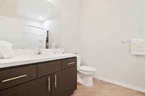 Pets Are Welcome | 1BR w/ Pet Spa - Image 2