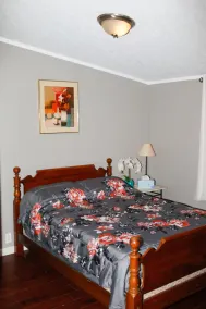 Charmantes 3 Schlafzimmer im Herzen von Leelanau County - Image 5
