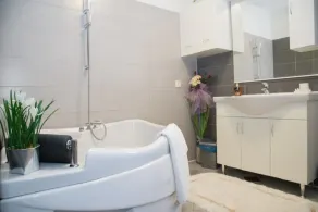 Party house   - Image 4