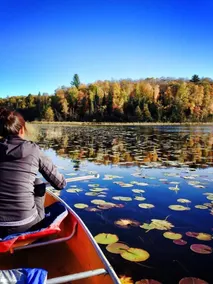 Gorgeous Lake Lodge Escape! Jacuzzi * Deck * Wifi * lejrbål * Pingpong * Solnedgange * Stille - Image 2