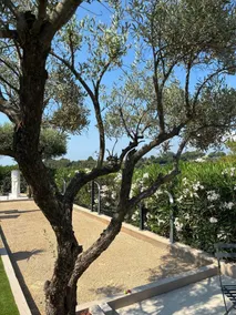 ZEHN MINUTEN VOM MEER ENTFERNT, KLIMATISIERTE VILLA FÜR 6 PERSONEN MIT POOL - Image 4