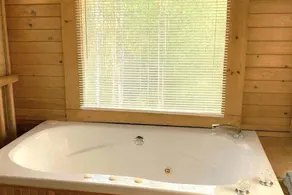 Windy Ridge cabin - Image 2