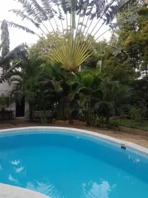 Chameleon Villa with pool - Image 5