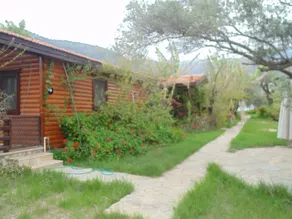 Datça, wooden Chalets few steps from the Sea! - Image 3