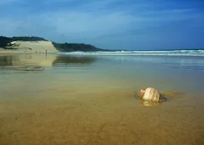 KICK BACK BEACH SHACK - BEACH,SURF & OCEAN VIEWS + WALK TO BEACH + PET FRIENDLY! - Image 5