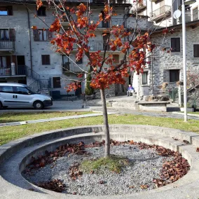 Two-room apartment in the heart of Valmalenco, within walking distance of the ski lifts. - Image 5