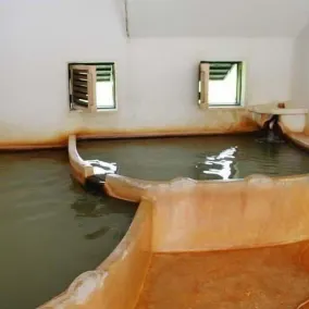 Daimaru Ryokan - Image 4