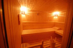 Luxury Wooden Swiss Chalet  With Private Sauna - Switzerland - Image 2