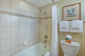 Kaanapali Shores 742 - Suite Studio Oceanview (Epic Realty) - Image 5