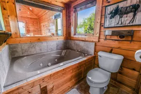 Extravagant View Cabin - Image 4