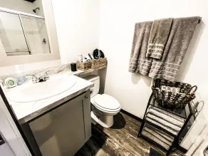 The Holiday Armadillo • AR Tiny House - Image 4