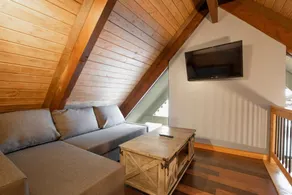 Captain's Quarters - Luxury Apartment in Hotel Near Beach, Jetted Tub, Fireplace, Pet Friendly - Image 4