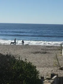 Oceanfront At Stinson - Slap af og opdater - Image 5