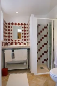 Mazet provenzale con piscina, servizio di qualità - Image 2