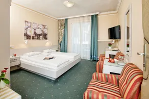 Lejlighed forskellige Kategori D - Ferienhotel Schönruh **** - Image 2