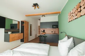 Modern eingerichtetes Appartement 2 (23 qm) direkt am Donauradweg - Image 4