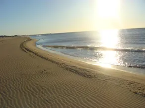 Appartamento 50 m dalla spiaggia - Image 4
