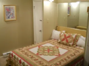 3 camere da letto condominio sul pendio a Winterplace Ski Resort con la comodità di casa - Image 4