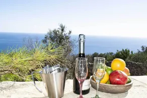 VILLA DE VACANCES SUR LA MER AVEC UN JARDIN DE 3000 M² - Image 2