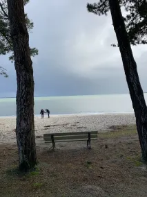 Appartamento con terrazza vista mare, spiaggia a 20 metri, piscina e giardino - Image 4