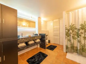 Luxury Apartment in Schin op Geul with Hot Tub & Sauna - Image 5