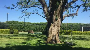 \"Thornleigh\" - Homestead nära Orange NSW - Image 2