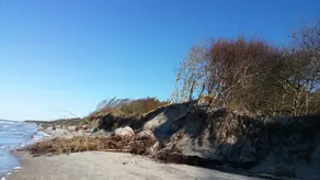 gemütliches individuell eingerichtetes Ferienhaus, ruhig, sehr Strandnah, WLAN - Image 4