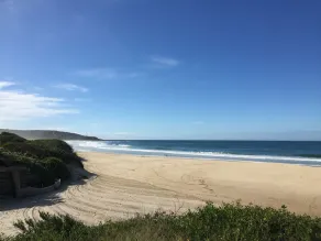 50m to beach patrol flags- ocean views - Nat. Park views - whales - open fire - Image 2
