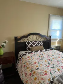 Plainfield Paradise for the Whole Family close to JFK and hospitals - Image 5