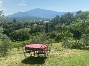 Villa 4 km fra Vaison la Romaine, enestående udsigt på Mont Ventoux - ro på 2,5 hektar jord (oliventræer, frugttræer, trøffel ...) - Image 2