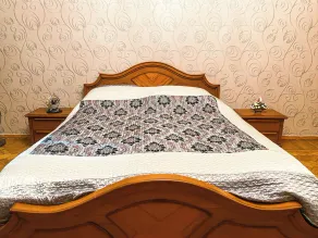 TBILISI LUXURY APARTMENT - Image 5