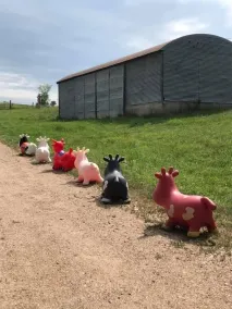 “Feels like Home!”  Family vacation, reunion on the Farm! - Image 4