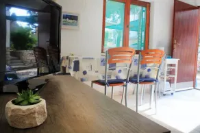 Apartments Brac-Osibova - One-Bedroom Apartment with Terrace and Sea View (A1) - (ST) - Image 4